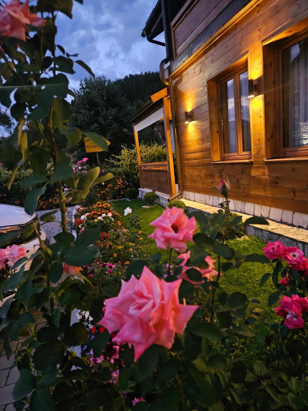 Guesthouse Sandra Kolasin Exterior photo